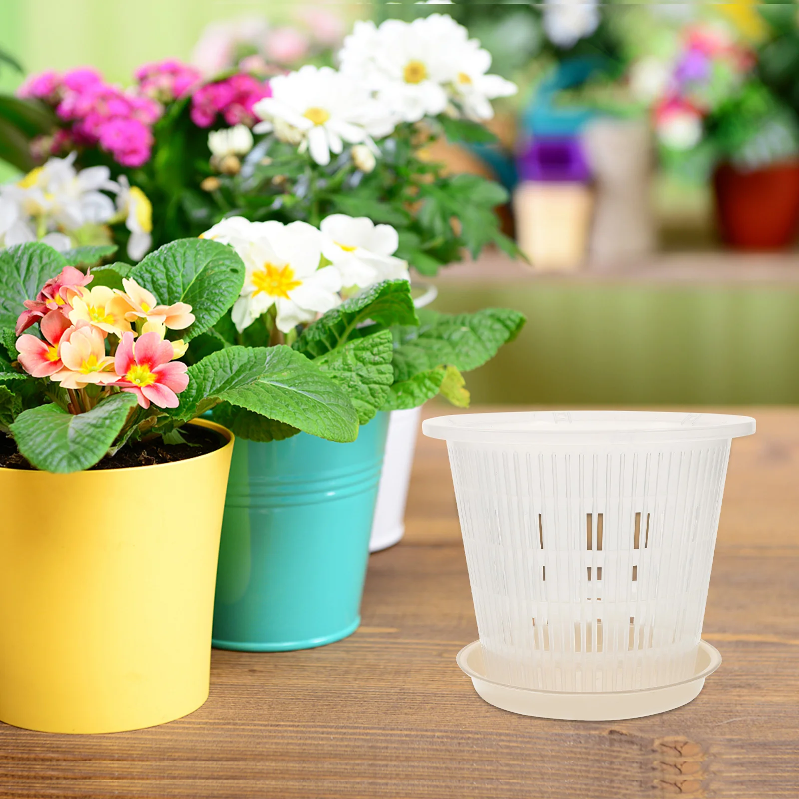 

Pot Flower Planter Pots Nursery Orchid Bonsai Plastic Holes Tray Indoor Drip Display Stand Training Succulent Hanging Saucers
