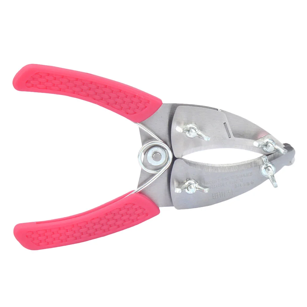 

Tree Shears Pruning Fruit Tool Gardening Scissors Pruner Branch Girdlingbypassring Garden Manual Trimmer Cutting Clippers Steel