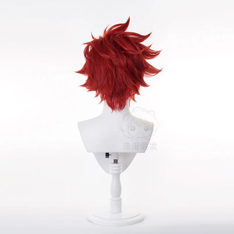 SK8 REKI Косплей Парик 30 см Короткие синтетические волосы The Infinity Kyan Reki Костюм Парики