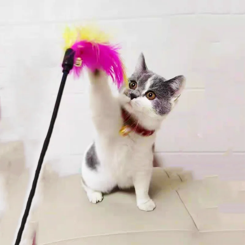 

Tease Cat Stick Pet Toy Colorful Feather Bell Long Stick Bite Resistant Relieve For Cats Interesting Products
