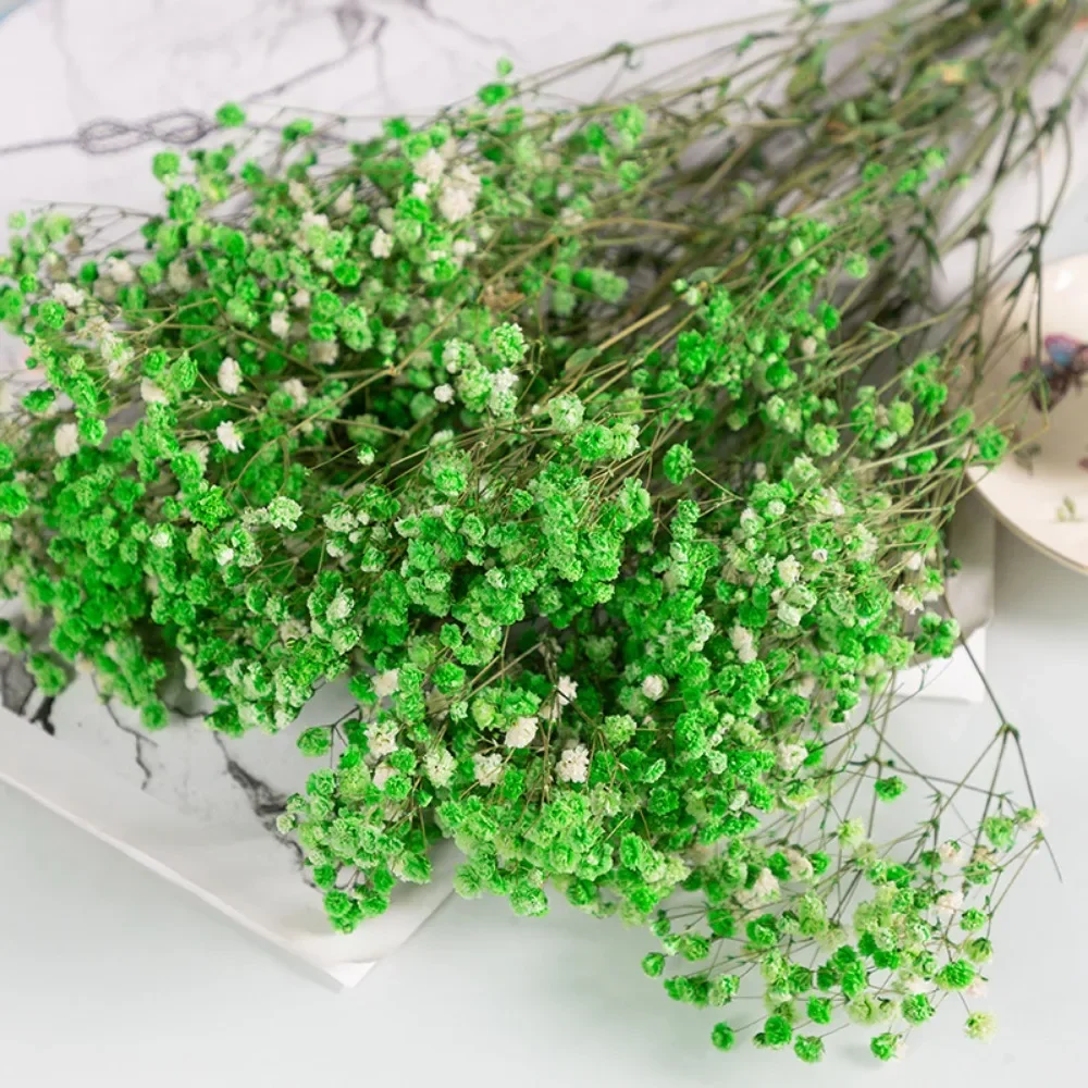 

Сухие цветы гипсофила YN HI FLOWER ENJOY YOUR LIFE