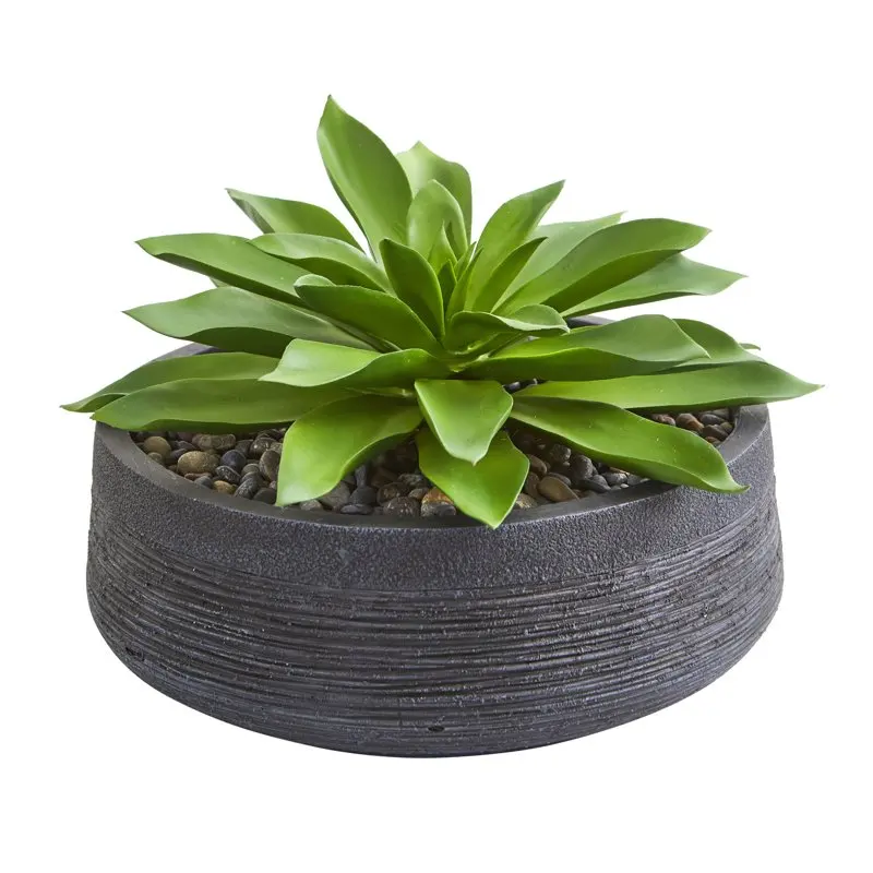 

10" Large Succulent Artificial Plant in Decorative Bowl, Green