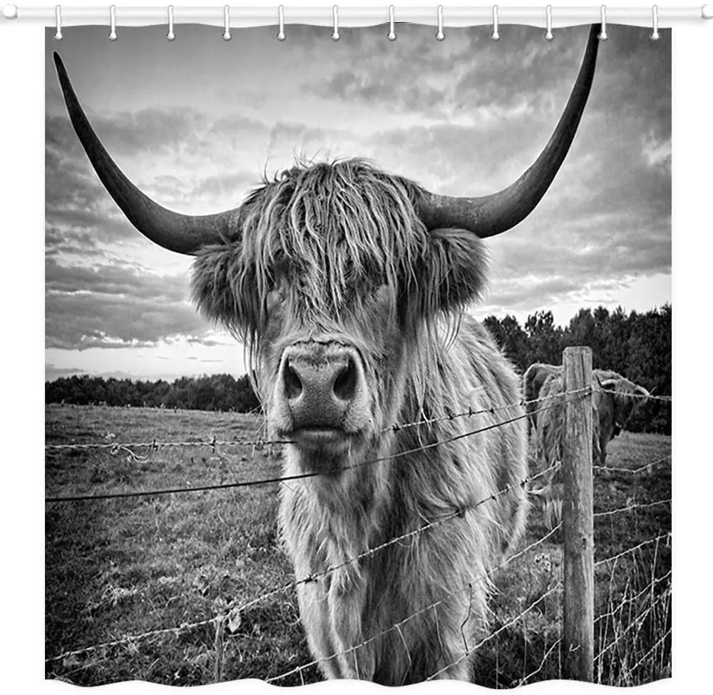 

Highlands Cow Shower Curtain Scottish Farm Yak Animal Cattle with Big Horns Polyester Fabric Bath Bathroom Curtains with Hooks
