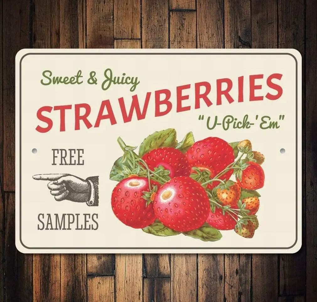 

Vintage Retro Sign Strawberries Berries Funny Fruits Vegetables Food Sweet Summer Wall Decor Home Decor Novlety Tin Metal Sign