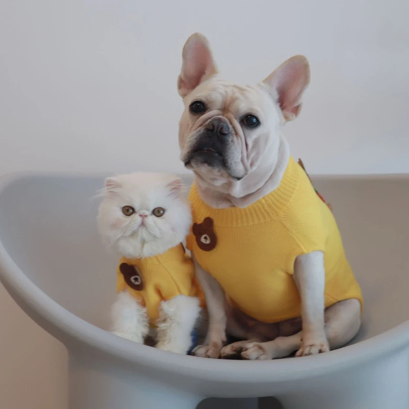 

Зимний костюм для домашних животных с изображением французского бульдога, собаки, свитера, куртки, кошек, Йорков, пуделя, Бишон, шнауцер, вал...