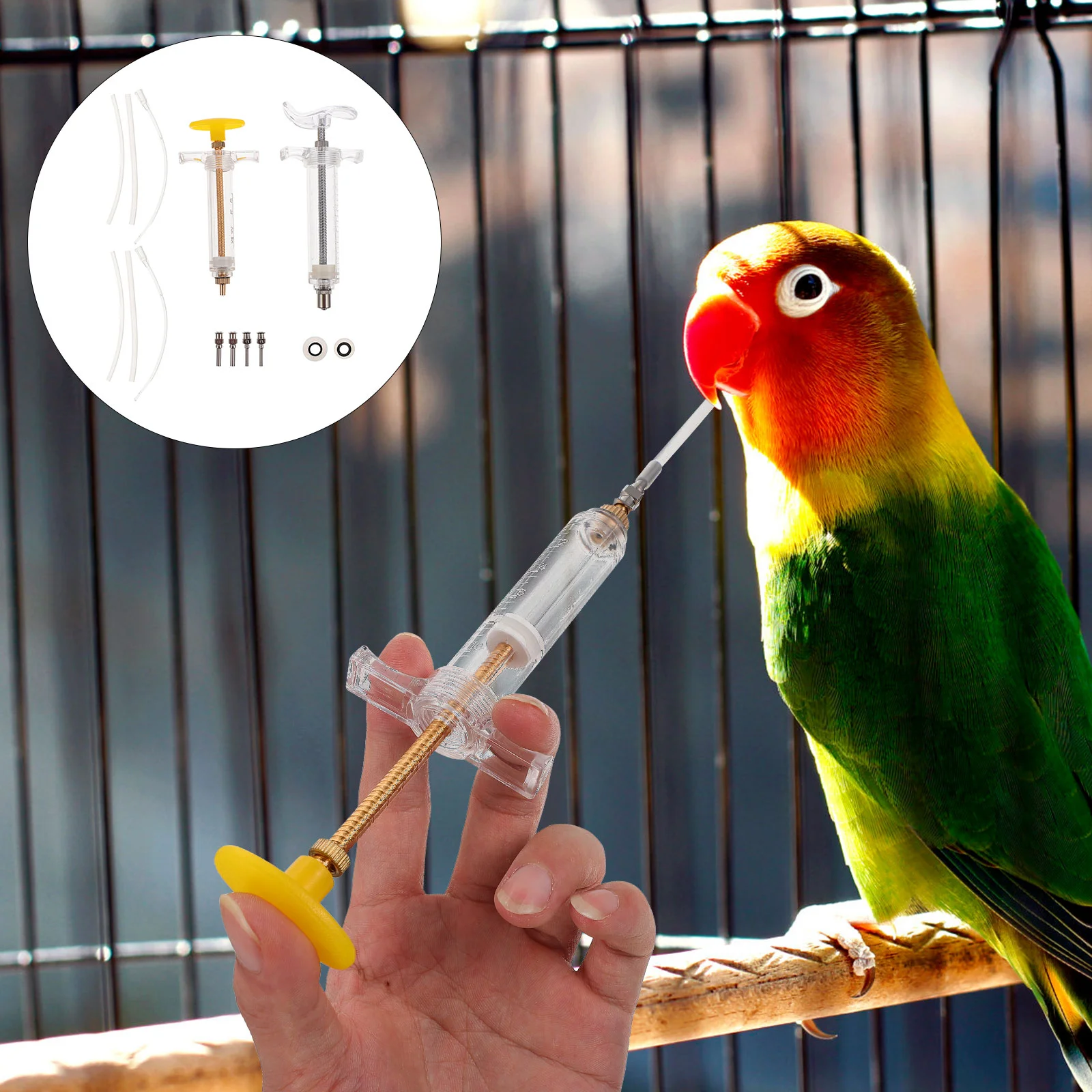 

1 Set Birds Feeder Bird Feeding Bird Feeder Small Bird Feeding Bird Feeding Tool