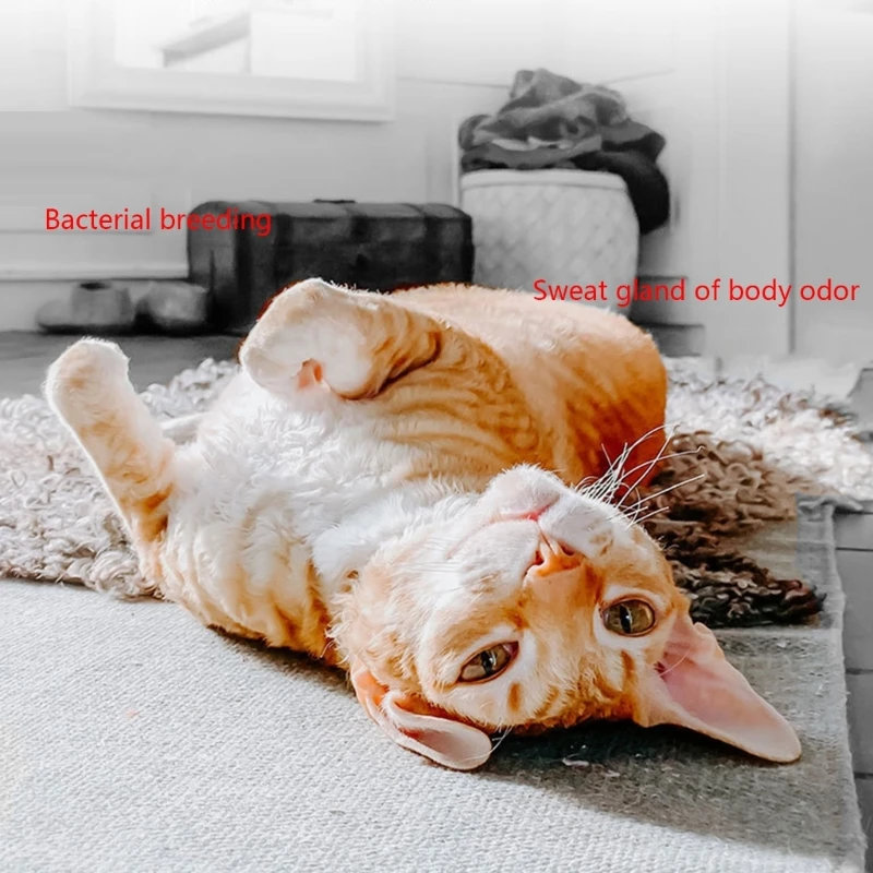 Тихий очиститель воздуха устранитель запахов дыма мини-универсальный