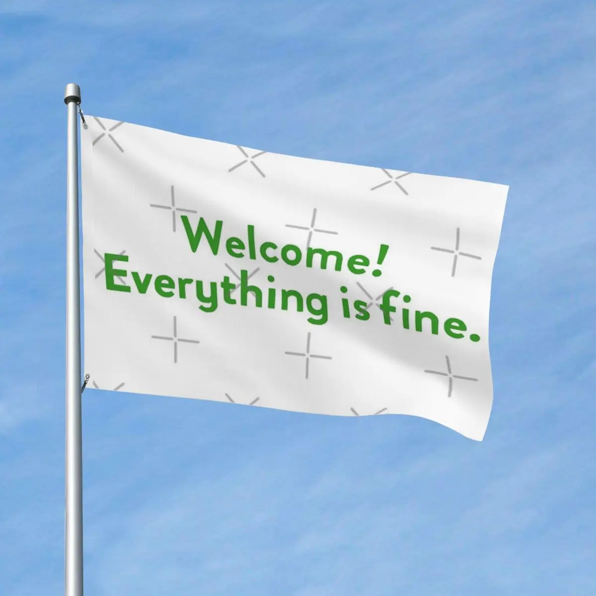 

Welcome! Everything Is Fine. Flag Decor Modern Outdoor Lawn Vibrant Colors Drapey