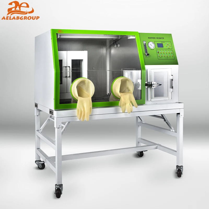 

AELAB LAI-3 LCD Screen Display High-Precision Anaerobic Incubator Bio Lab Anaerobic Chamber