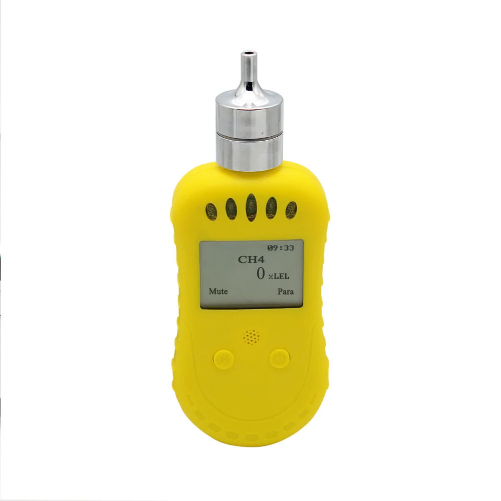 

CE ATEX portable pump combustible gas analyzer LPG CH4 gas leakage detector