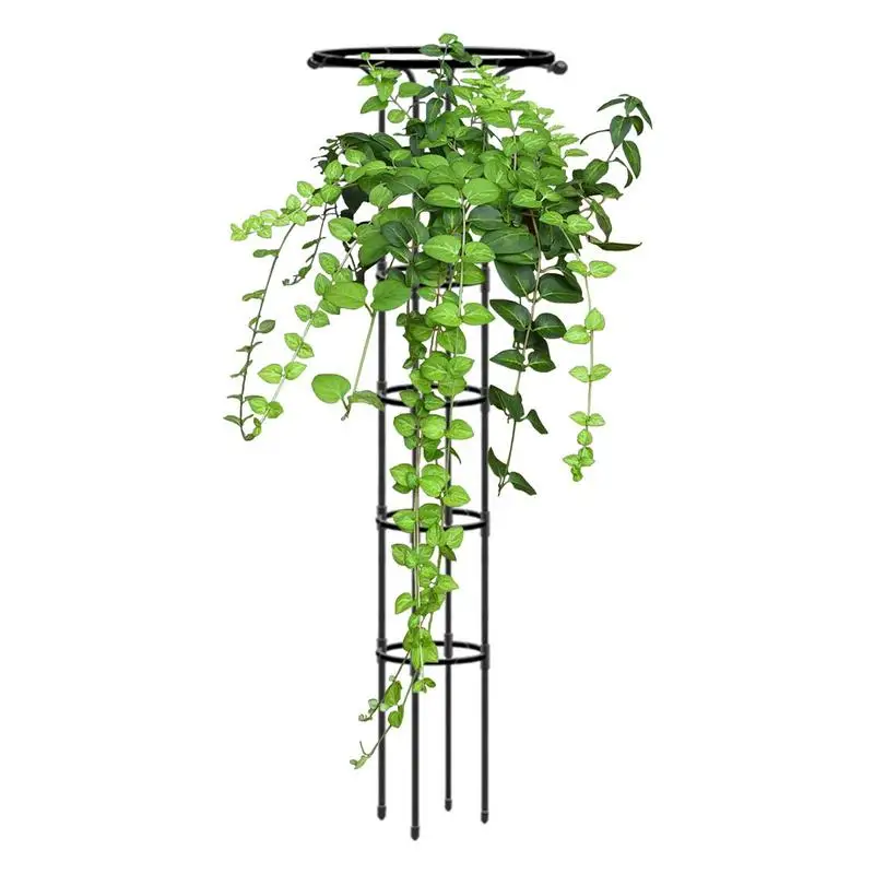 

Plant Support Rustproof Frame Garden Obelisk Garden Arch Trellis For Climbing Vines Flowers Stand Indoor Outdoor Floral Decor