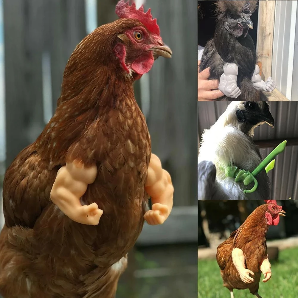

Chicken Hands Toy Gag Gift Chicken Arm Decoration Chicken Forelimb Decor Dinosaur Spoof Pet Props Doll Helmet Party Funny Decor