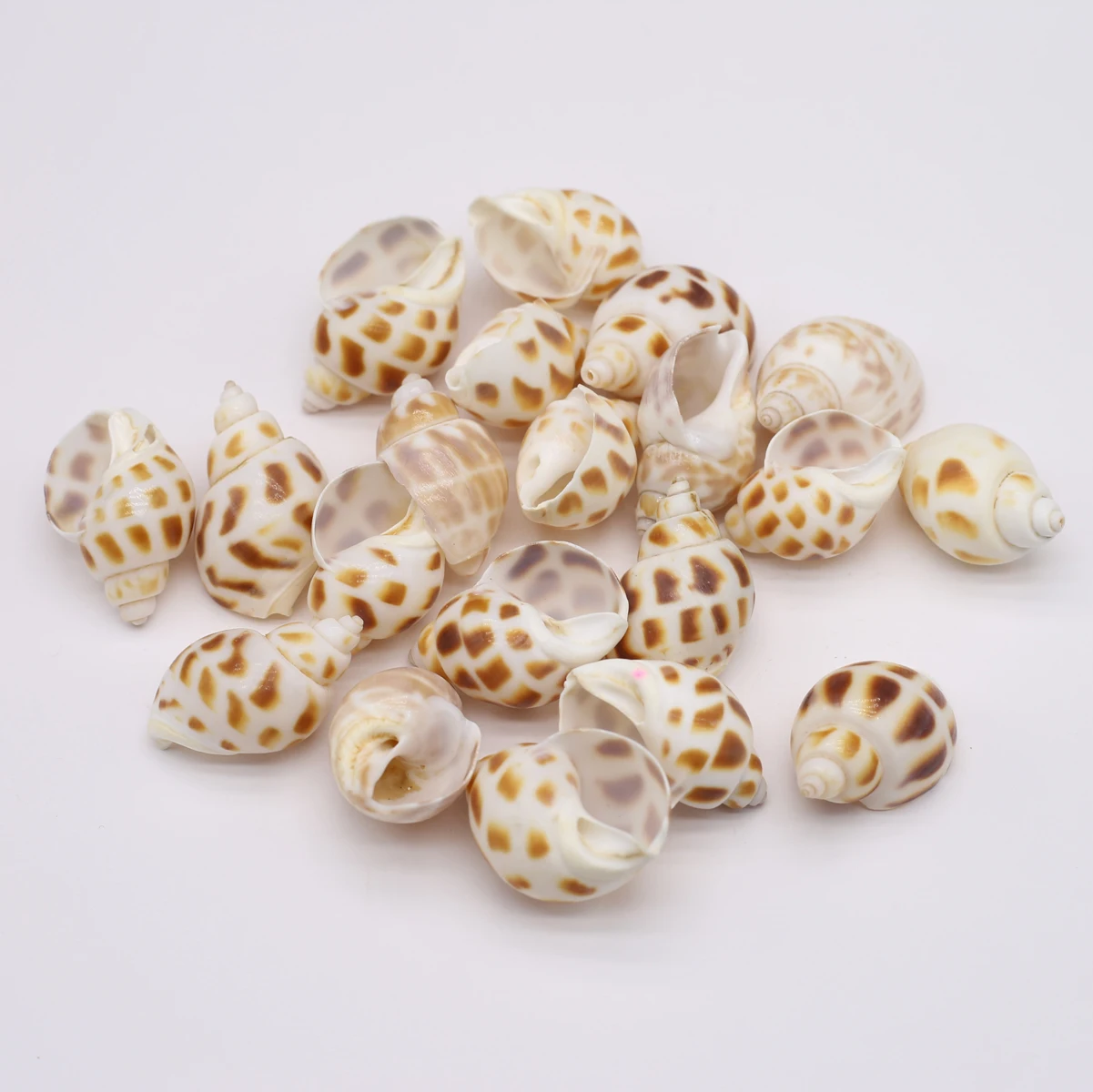 Natural Shell Beads No Hole Sea Yellow Decor Snail Charms for Jewelry Making Necklace Bracelet Ornament