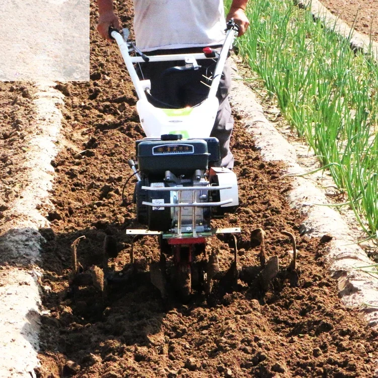 1WG-6YJ 1wg-6yj-13hp бензиновые и дизельные запчасти для бензинового дизельного