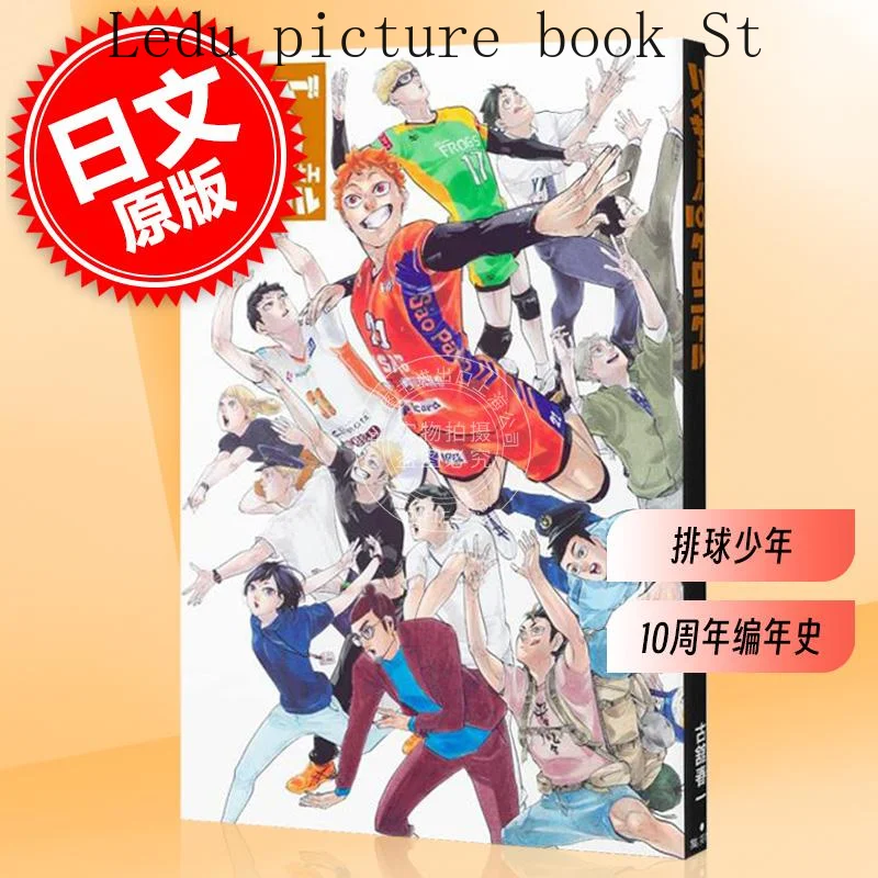 Japanese Original Volleyball Boy 10th Anniversary Chronicle Book Usually Version Light Comic Novel Fun Sports Youth Book