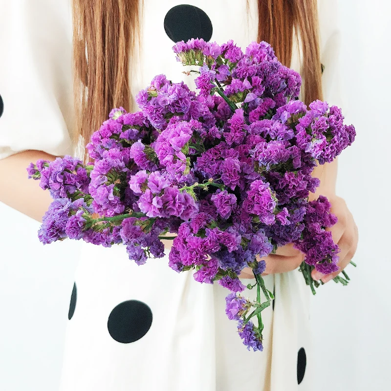 Незасушенные цветы натуральный гипсофил букет для детей искусственные