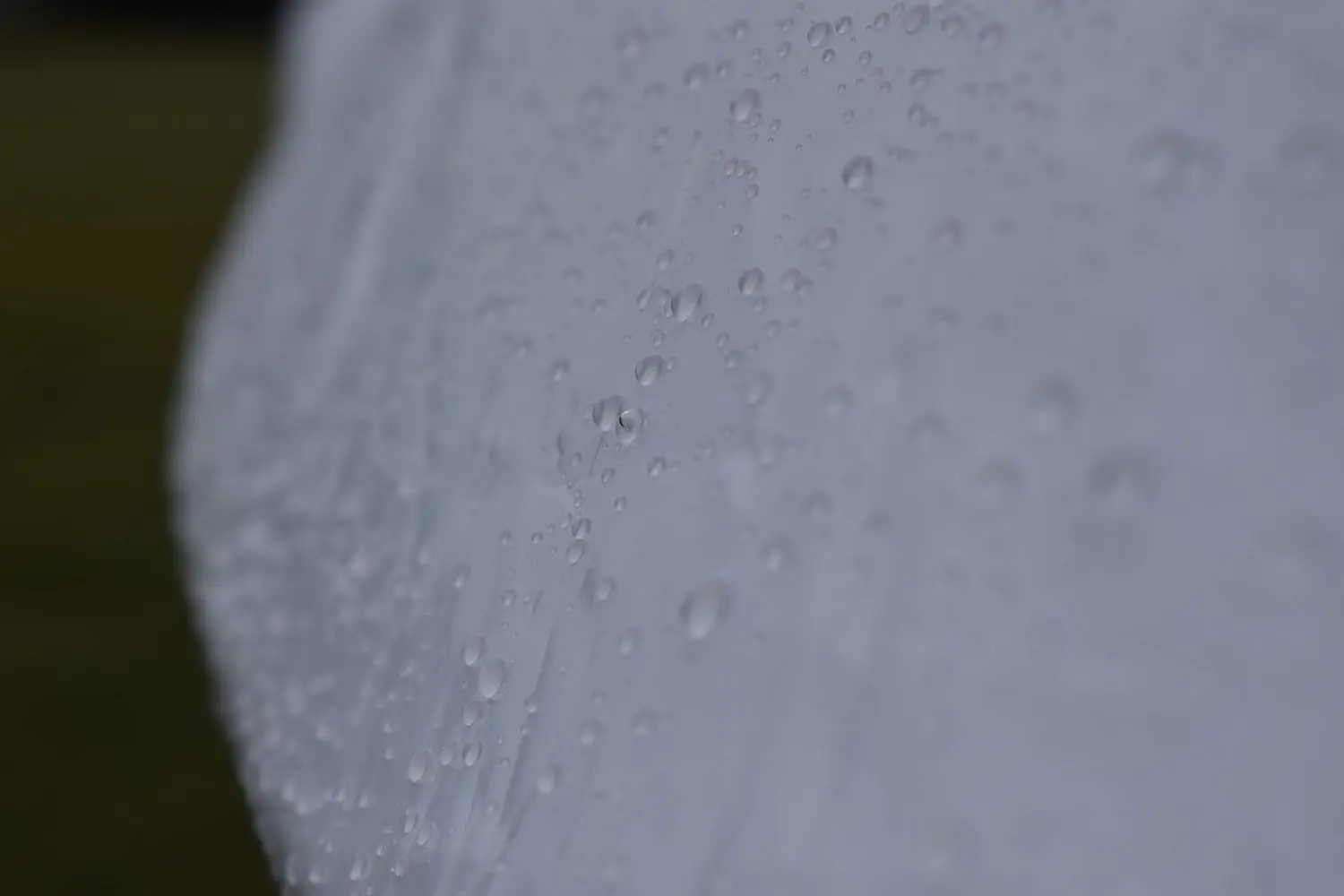 Чехлы на 100% лодки над Rub Rail | Устойчивый к ультрафиолетовому излучению морской