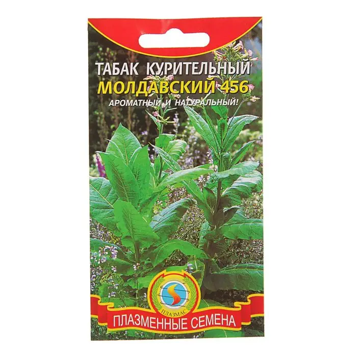 Семена Табак курительный &quotМолдавский 456&quot 0 01 г | Дом и сад