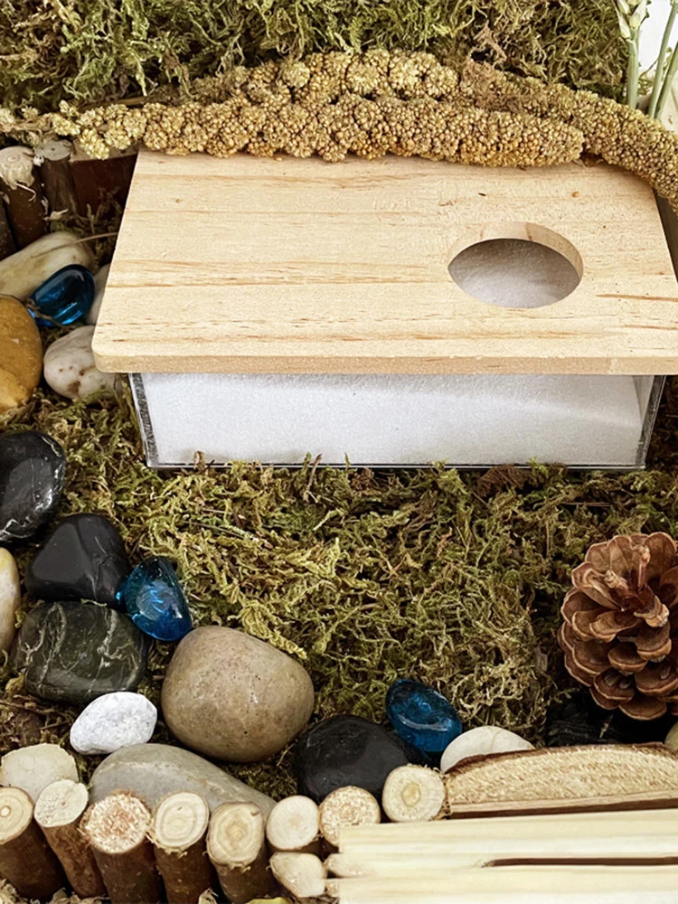 

Hamster Sand Bath Shower Box Dwarf Room Acrylic Digging Sand Container Animals Bathroom Toilet for Gerbil Hedgehog Squirrel