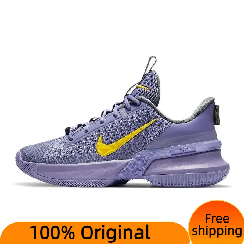 Кроссовки Nike LeBron Ambassador 13Laker CQ9329-500