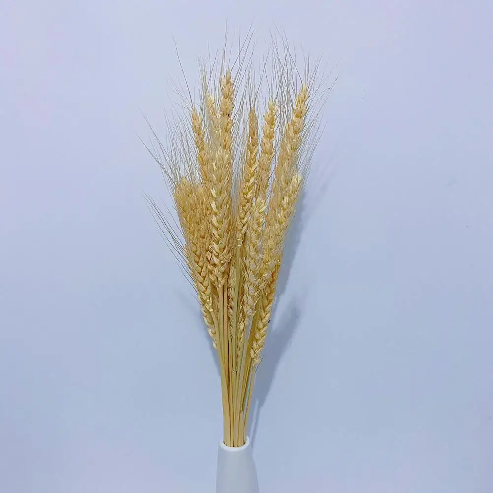 

30Pack Natural Dried Wheat Ear Flowers Real Wheat Ear Flower For Wedding Decoration Dried Reed Grass Flower DIY Craft Bouquet