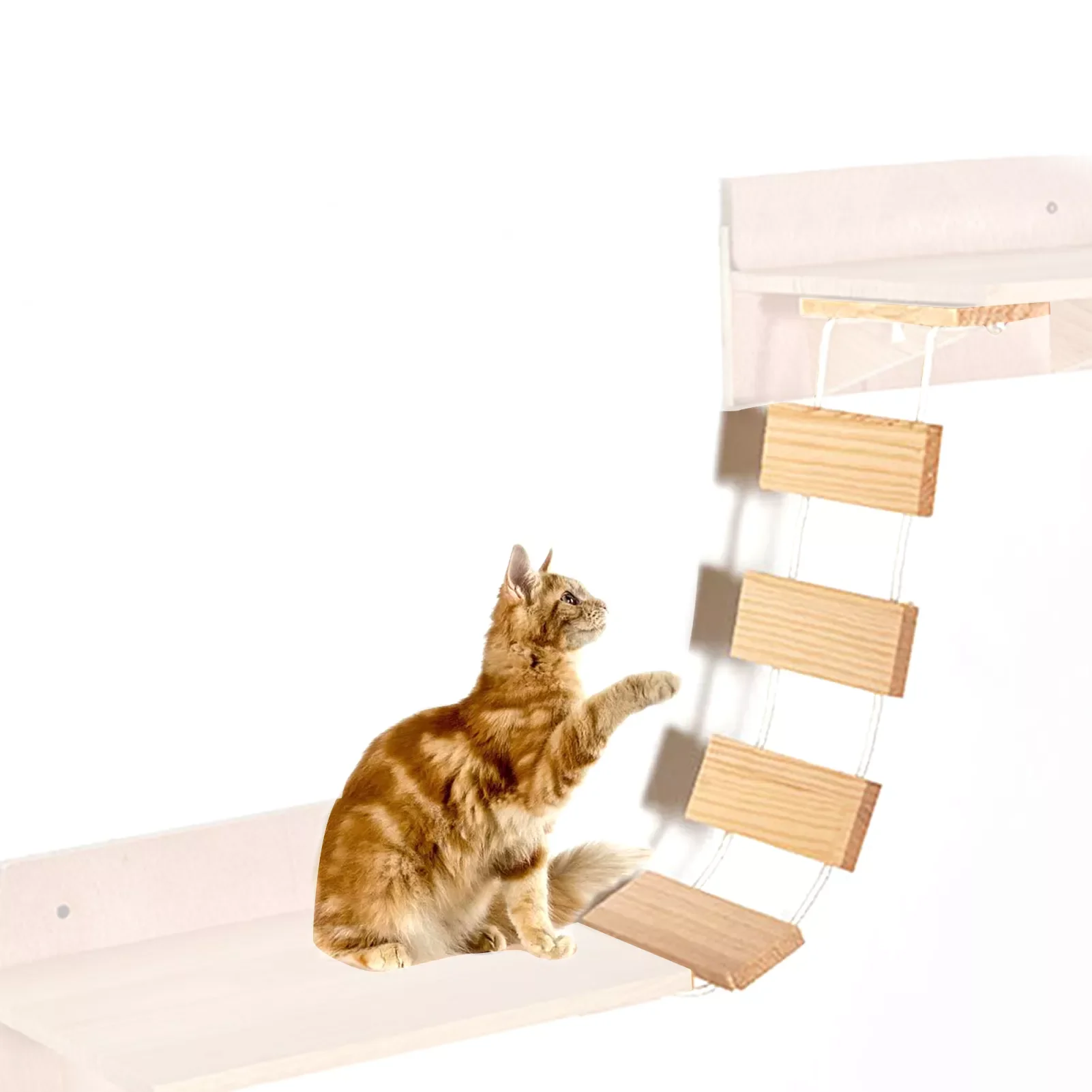Pet Hammock Wall Mounted Durable Natural Climbing Frame Cat Suspension Bridge Ladder Hanging Hammock Pet Supplies