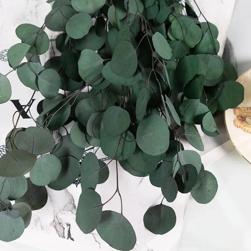 

Сушеные цветы эвкалипта YN HI FLOWER ENJOY YOUR LIFE