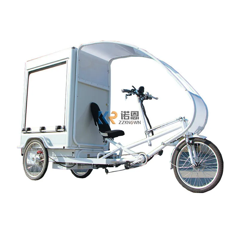 

1000W Hub Motor Electric Tricycle Closed Cabin Velo Cargo Bicycle Delivery Bike for Adult with Big Box Cargo Bike Rickshaw Trike