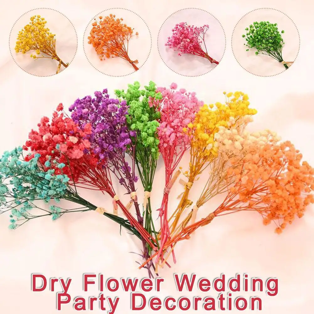 

Natural Dried Bouquets Babysbreath Fresh Mini Dry Flowers Party Wholesale Press Home Wedding Decoration W9T2