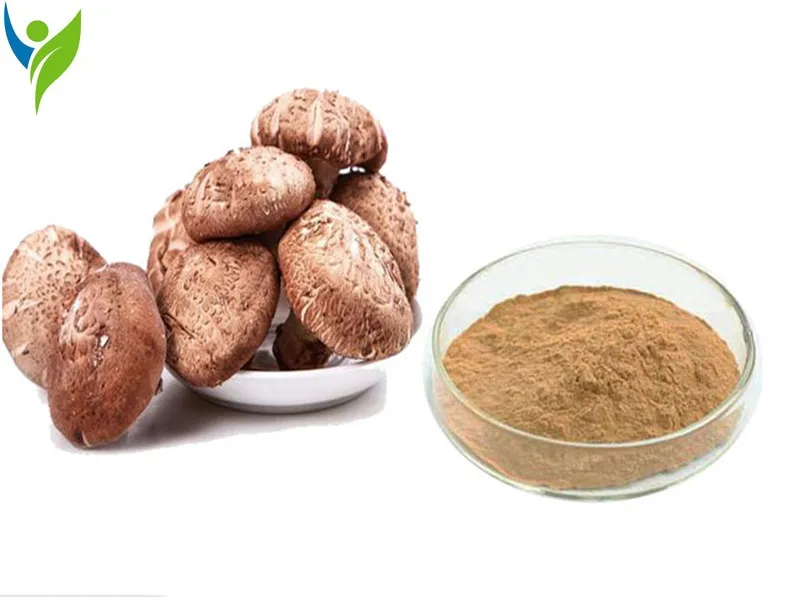 

Порошок грибов Shiitake, китайская медицина