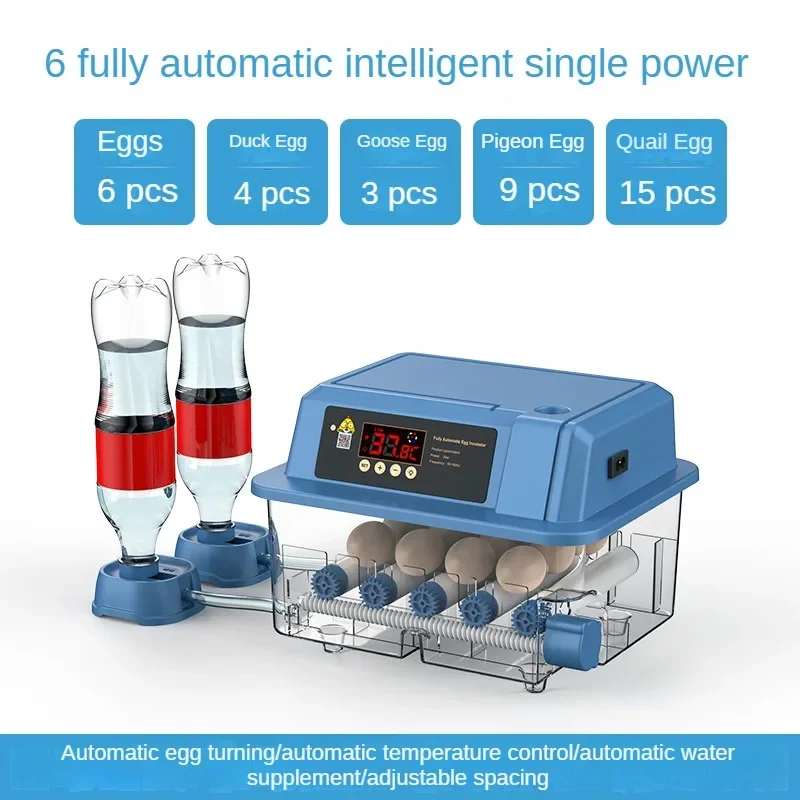 Автоматический 6-яичный инкубатор двойная мощность Rutabaga небольшой домашний