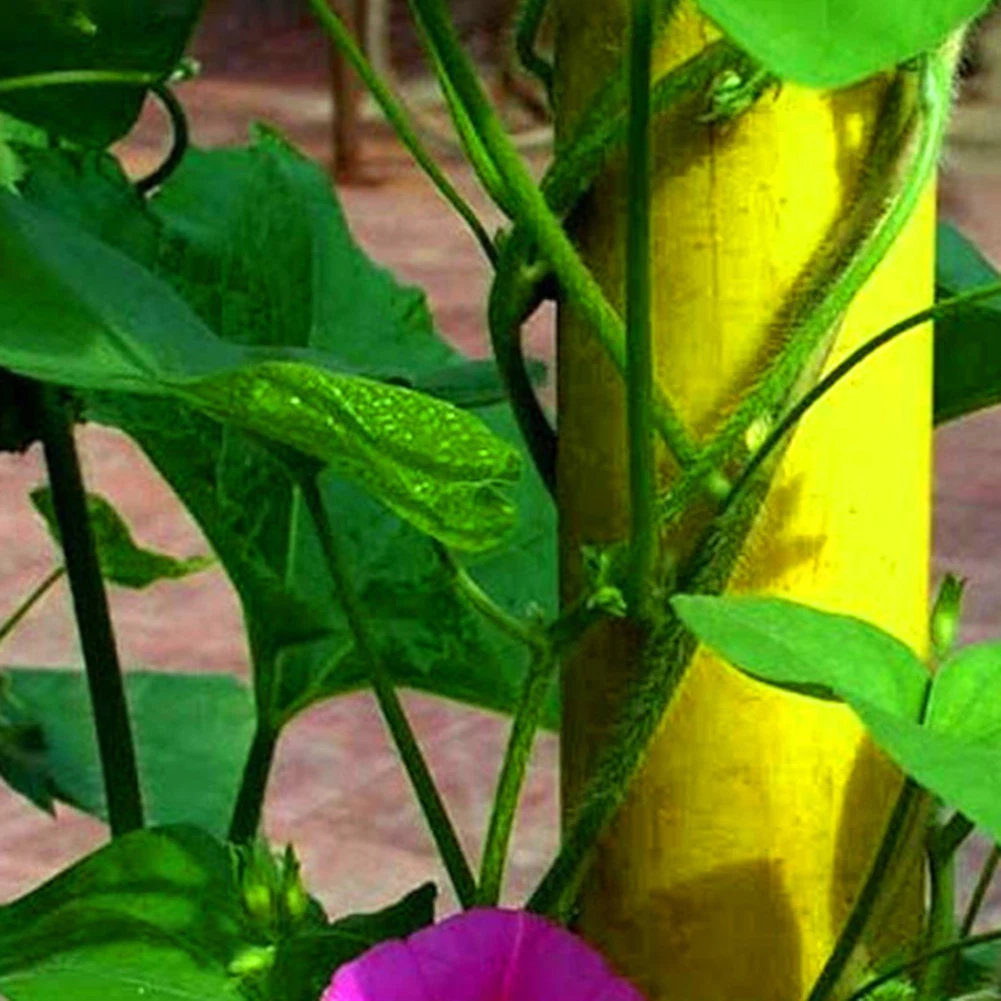 

Garden Plants Climbing Net Durable Practical Multi-functional Classic Cucumber Vine Grow Holder Flower Vine Netting Support