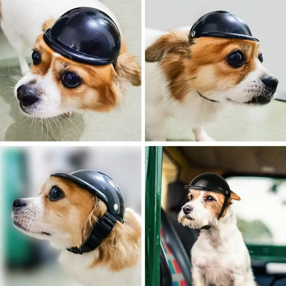 

Pet Safety Helmet Dog Cat Bicycle Motorcycle Helmet With Sunglasses Pet Supplies For Head Protective