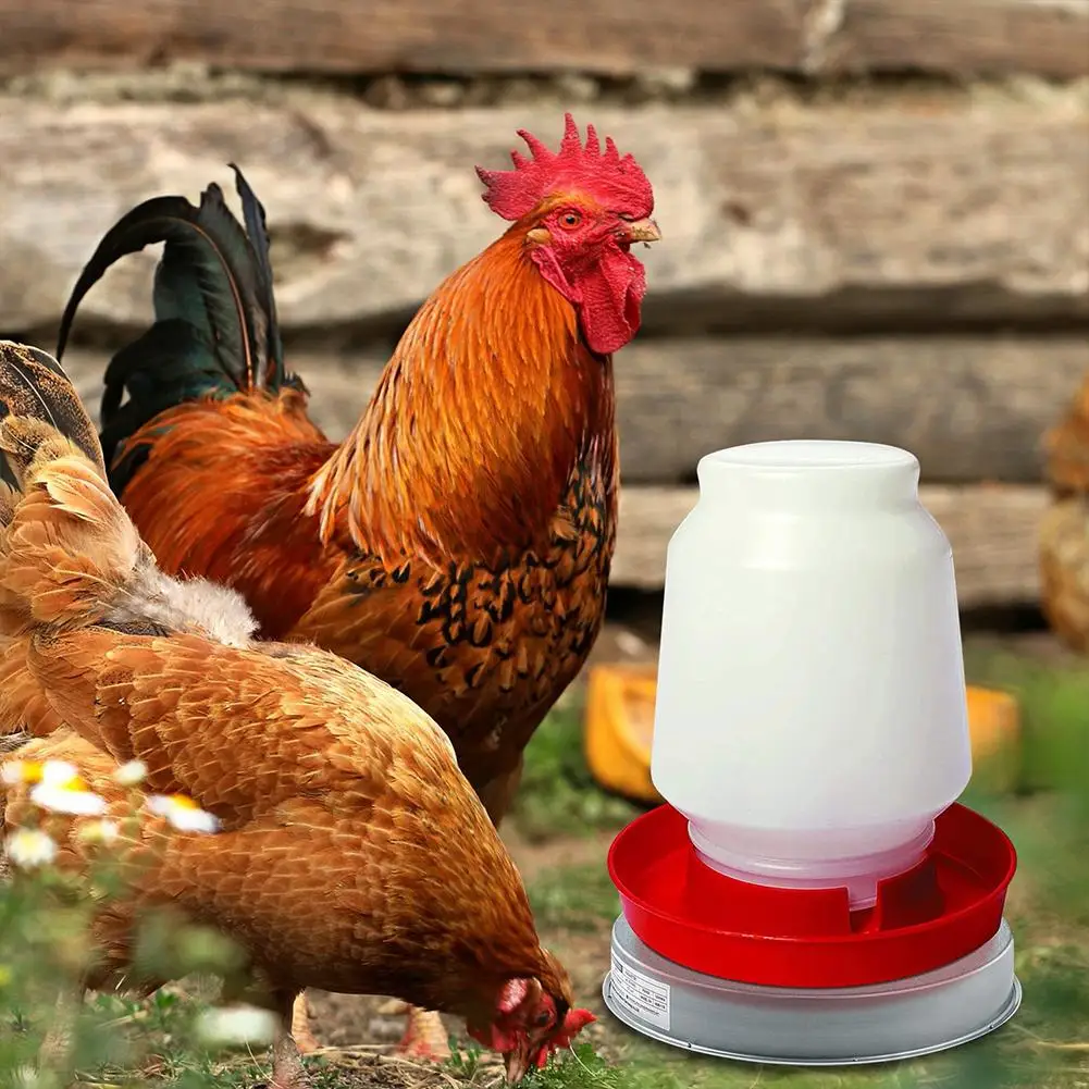 

Poultry Drinker Heating Base Built-in Heating Wire Winter Pet Poultry Water Heater Suitable For Agriculture Poultry Raising