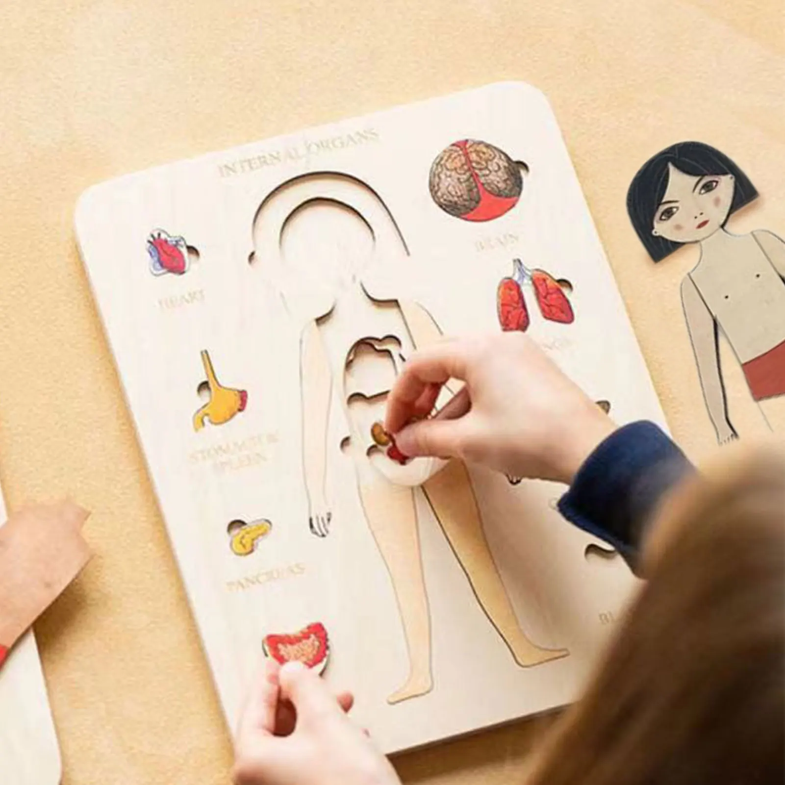 

Wooden Puzzles Human Body Structure Cognitive Toy Preschool Children Montessori Tangram Jigsaw Board Birthday Gifts