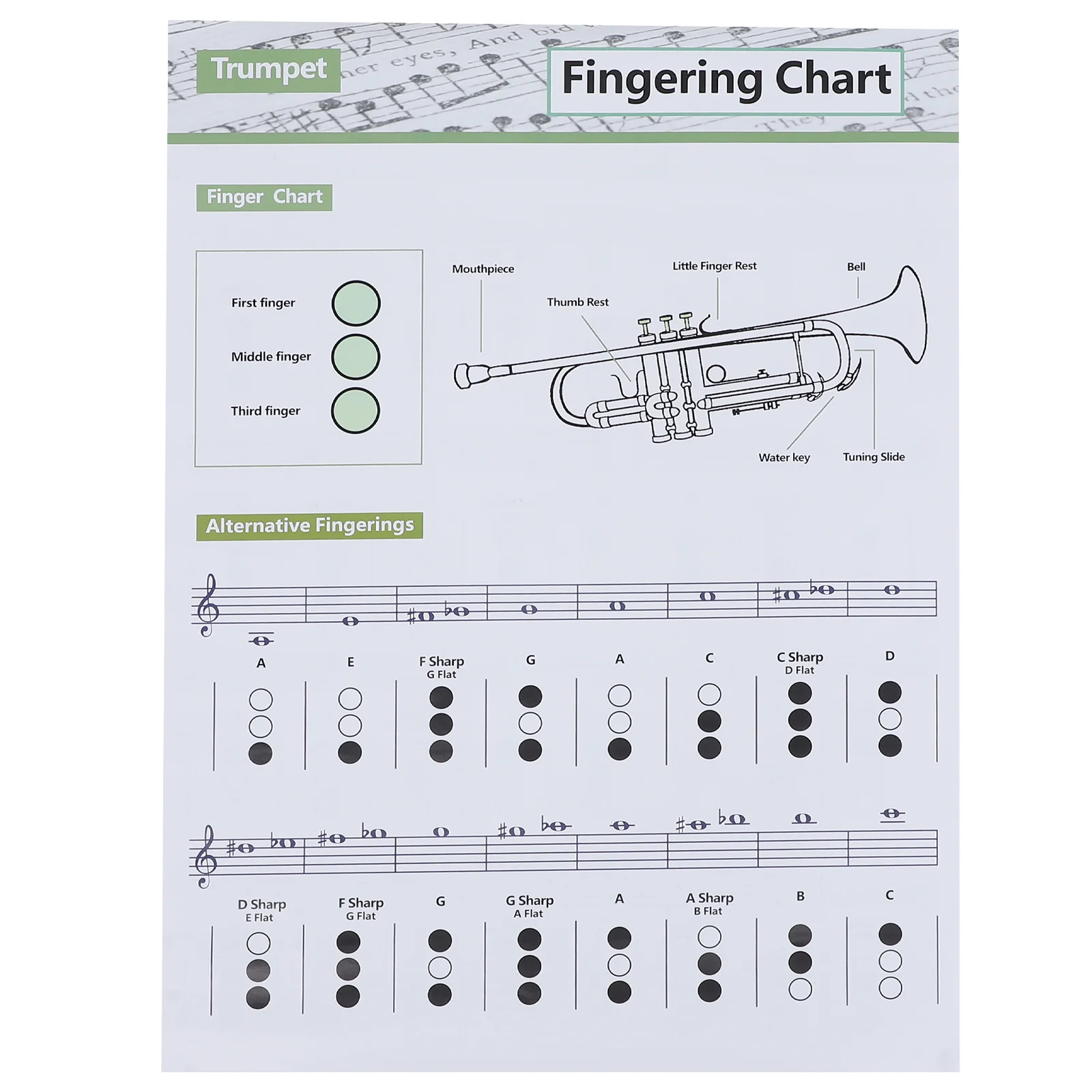 

Trumpet Chart Chord Fingering Poster Guide Guitar Chords Diagram Scales Beginner Ukulele Note Trainingscale Practice Paper