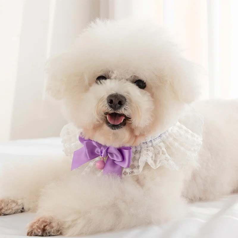 

New Pet Lace Collar Lovely Dog Cat Bow Bell Necklace Lovely Neck Scarf Pet Decoration Collars For Small Dag Pet Supplies