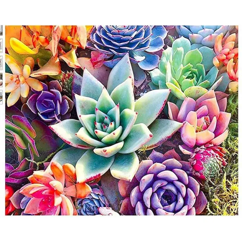 

GATYZTORY 5d Diamond Painting Cactus Diamond Embroidery Flower Picture Of Rhinestones Mosaic Home Decoration New Arrivals