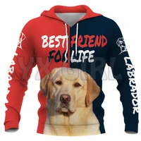 labrador 3d printed hoodies unisex pullovers funny dog hoodie casual street tracksuit