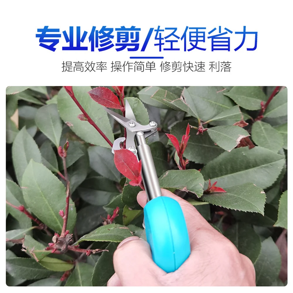 

New pointy fruit picking scissors picking pepper and medlar floral scissors gardening tools pruning pruning shears