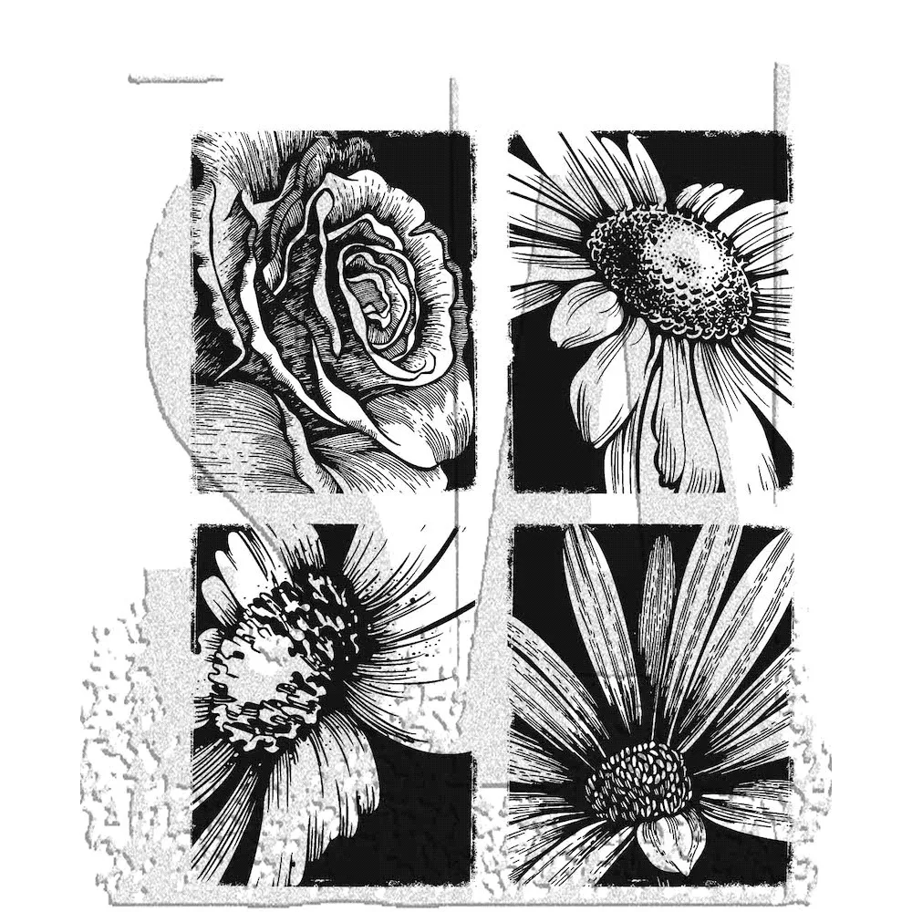 

2023 April New Mother's Day Bold Botanicals Daisy Background Clear Stamps For DIY Making Greeting Card Scrapbooking No Dies