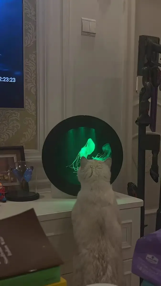 18 л 16 цветов беспроводной пульт дистанционного управления ПЭТ Медуза аквариум