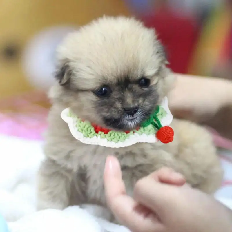

Lovely Pet Collar Cute Cat Collar Comfortable Dog Collar Cat Supplies Beautiful Knitting Wool Collar Cherry Knitting Collar