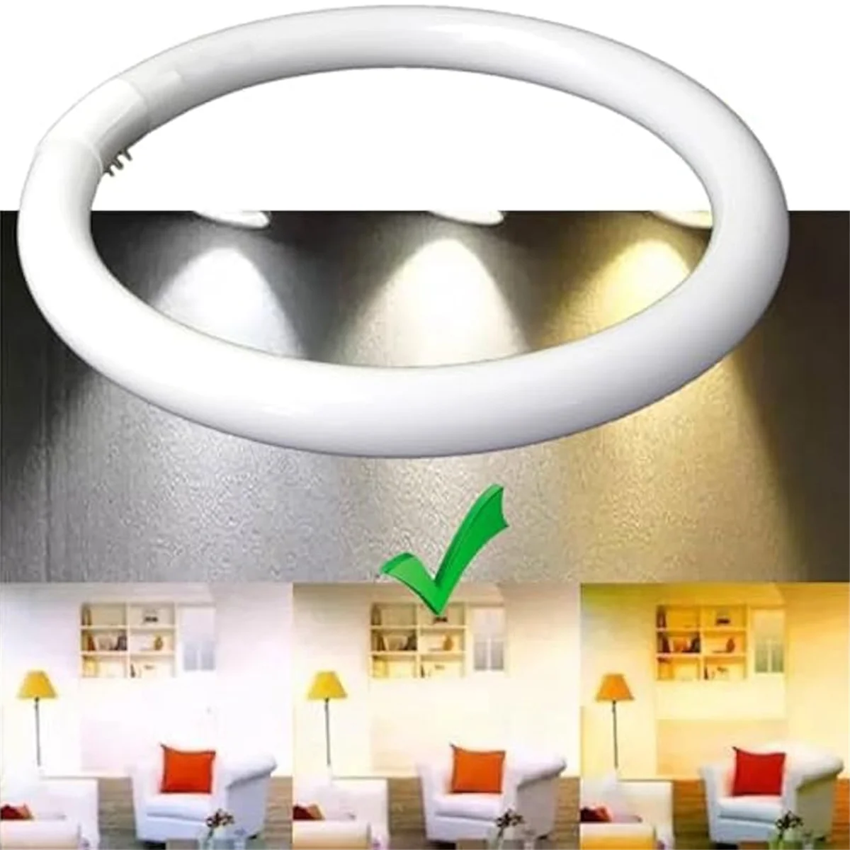 FC8T9/CW 22W and FC12T9/CW 32W Cool White Round Fluorescent Light Bulb Set T9 22 Watts &amp Circular Bulbs 32 Pack