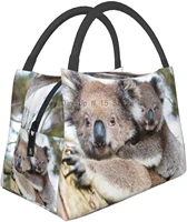 koala bear print portable insulation bag lunch box for office work school picnic beach