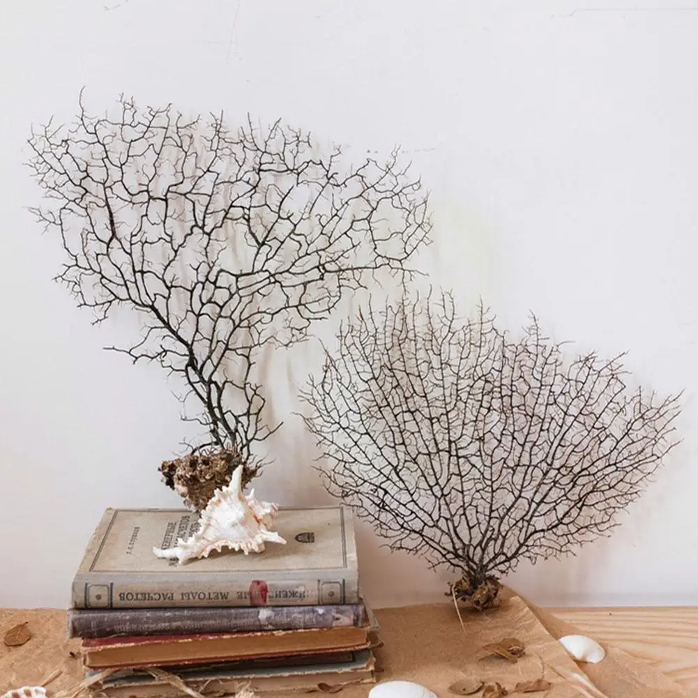 

Natural Conch Sea Willow Sea Iron Tree Coral Aquarium Branches Microlandscape Fish Willow Red Decoration A6k0