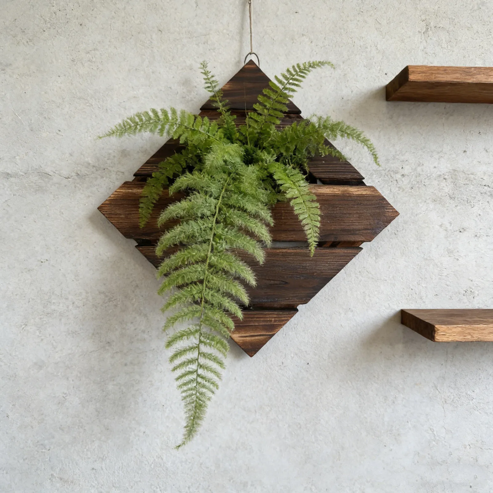 Деревянная настенная доска для растений Fern Mounting Board, вертикальный кашпо в деревенском стиле, декор для гостиной, настенный держатель для комнатных растений 10x10 (art.: 3920d850eb360) - 3920d850eb360