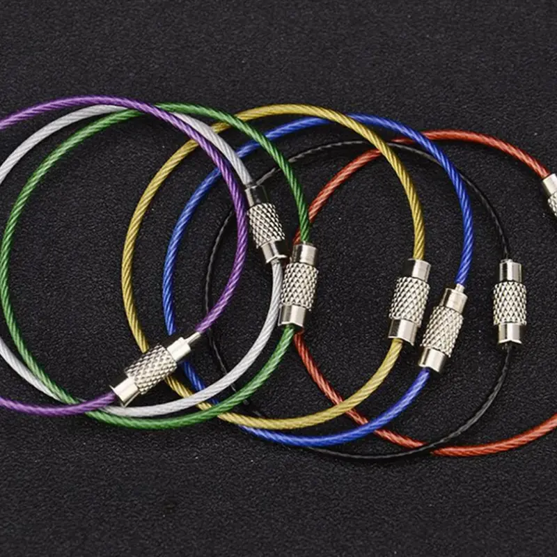 10 шт. разноцветный карабин для ключей из нержавеющей стали |