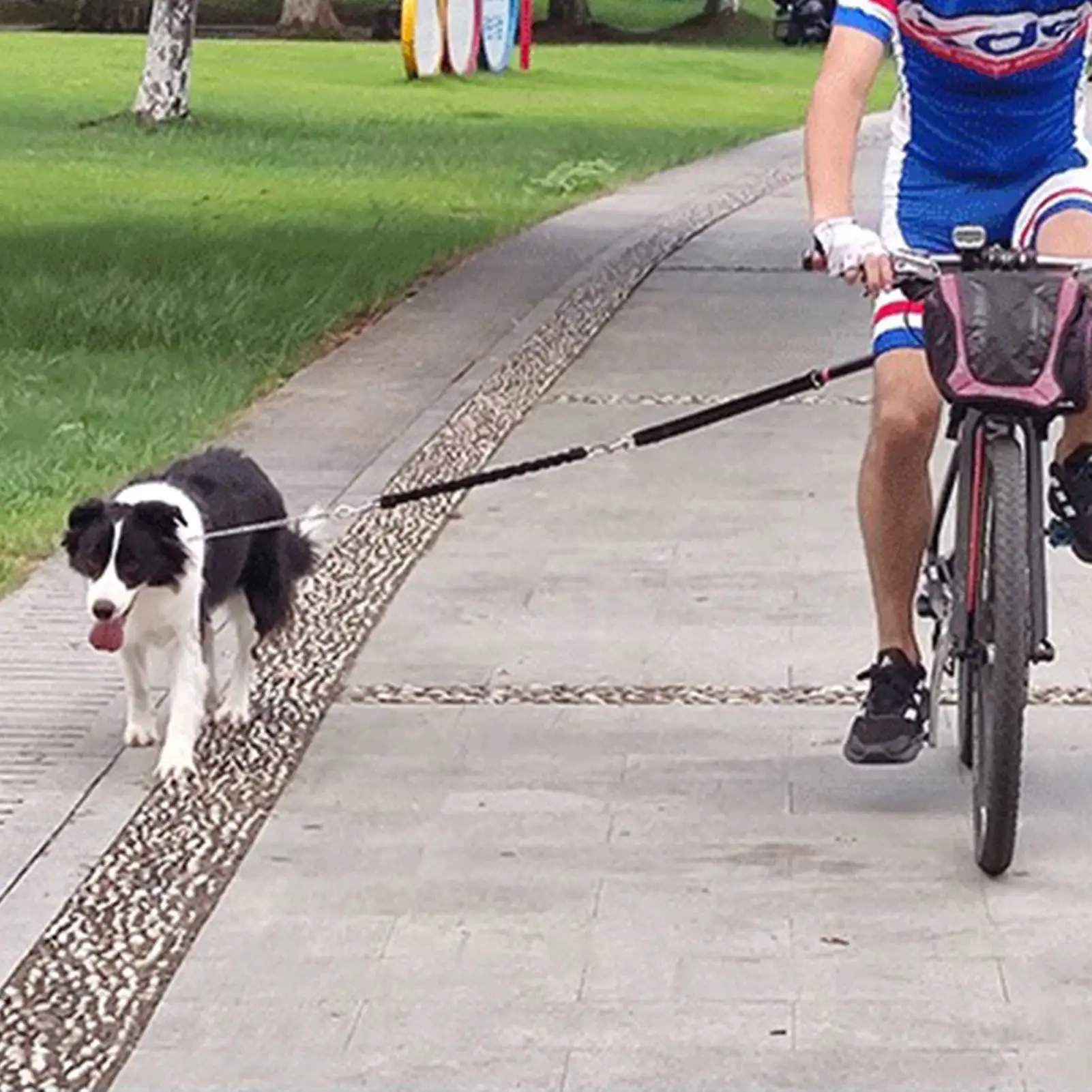 

Nylon Elastic Dog Bicycle Traction Belt Rope Dog Leash Bike Attachment Pet Walk Run Jogging Distance Keeper Hand Free Pets Strap