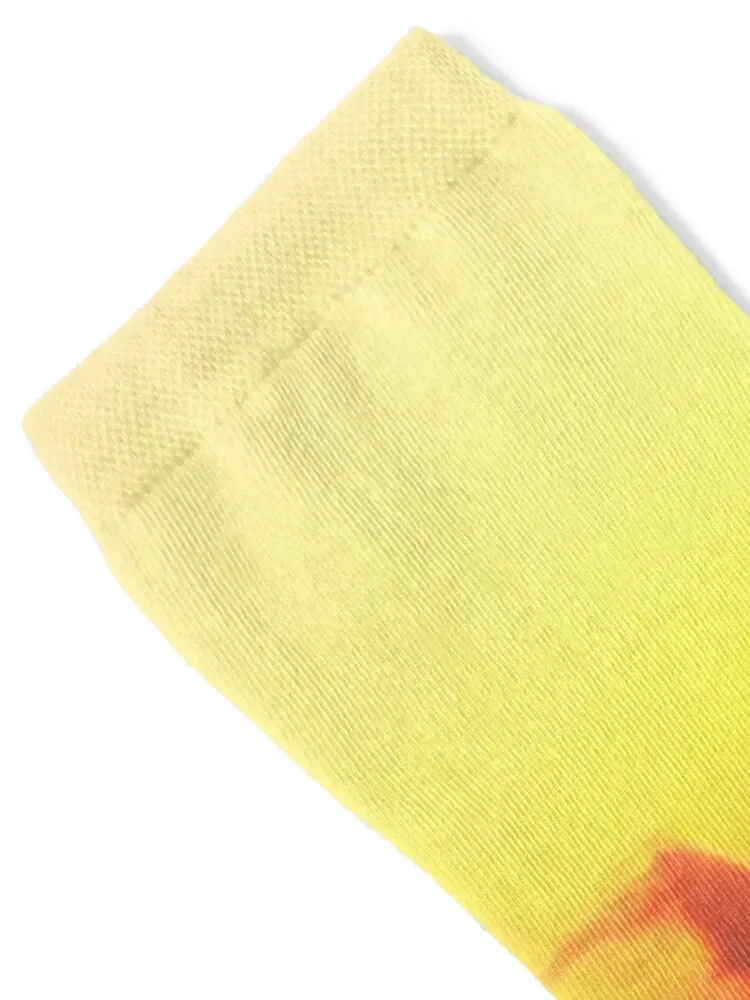 Носки Sunset fire in the sky походные дизайнерские брендовые носки для женщин и мужчин